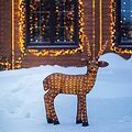 NEON-NIGHT 513-305 Акриловая светодиодная фигура Бурый олень 100 см, 380 светодиодов, IP 65, понижающий трансформатор в комплекте, NEON-NIGHT NEON-NIGHT 513-305 Акриловая светодиодная фигура Бурый олень 100 см, 380 светодиодов, IP 65, понижающий трансформатор в комплекте, NEON-NIGHT