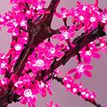 NEON-NIGHT 531-108 Светодиодное дерево Сакура, высота 1,5м, диаметр кроны 1,8м, розовые светодиоды, IP65, понижающий трансформатор в комплекте NEON-NIGHT NEON-NIGHT 531-108 Светодиодное дерево Сакура, высота 1,5м, диаметр кроны 1,8м, розовые светодиоды, IP65, понижающий трансформатор в комплекте NEON-NIGHT