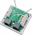 REXANT 03-0120 Розетка комбинированная внешняя, UTP RJ-45(8P8C) + RJ-11(6P-4C) REXANT 