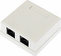 REXANT 03-0136 Розетка компьютерная внешняя, 2-порта RJ-45 (8P8C), UTP CAT 6 REXANT