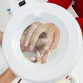 REXANT 31-0021 Лупа на струбцине круглая 8D с подсветкой, ø127мм, белая REXANT REXANT 31-0021 Лупа на струбцине круглая 8D с подсветкой, ø127мм, белая REXANT