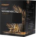 REXANT 603-1035 Светильник декоративный Человечек, золотой с черным абажуром, Е27 REXANT REXANT 603-1035 Светильник декоративный Человечек, золотой с черным абажуром, Е27 REXANT