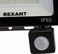 REXANT 605-009 Прожектор светодиодный СДО 50Вт 4000Лм 6500К холодный свет, с микроволновым настраиваемым датчиком движения REXANT REXANT 605-009 Прожектор светодиодный СДО 50Вт 4000Лм 6500К холодный свет, с микроволновым настраиваемым датчиком движения REXANT