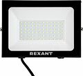REXANT 605-018 Прожектор цветного свечения (зеленый) 100Вт REXANT