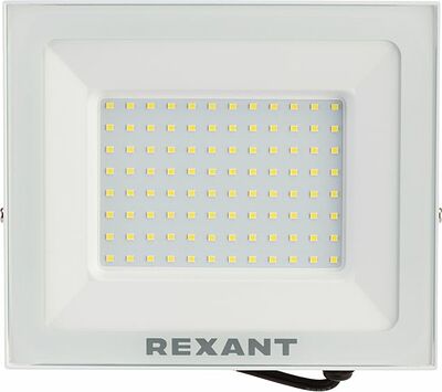 REXANT 605-027 Прожектор светодиодный СДО 100Вт 8000Лм 6500K холодный свет, белый корпус REXANT