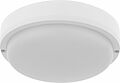 REXANT 607-266 Светильник ЖКХ LED пылевлагозащищенный круг IP65 12Вт 1140Лм 6500K с микроволновым датчиком движения, дежурный свет REXANT REXANT 607-266 Светильник ЖКХ LED пылевлагозащищенный круг IP65 12Вт 1140Лм 6500K с микроволновым датчиком движения, дежурный свет REXANT
