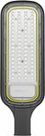 REXANT 607-308 Светильник светодиодный консольный ДКУ 03-70-5000К-Ш-C IP65 черный REXANT