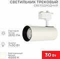 REXANT 611-008 Светильник светодиодный трековый Star Track 30Вт 4000К LED белый REXANT REXANT 611-008 Светильник светодиодный трековый Star Track 30Вт 4000К LED белый REXANT