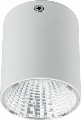 REXANT 615-001 Светильник универсальный REXANT Sirius 15 Вт 4000 К LED белый