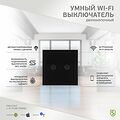 SECURIC SEC-HV-802B2 Умный Wi-Fi выключатель двухкнопочный черный SECURIC SECURIC SEC-HV-802B2 Умный Wi-Fi выключатель двухкнопочный черный SECURIC