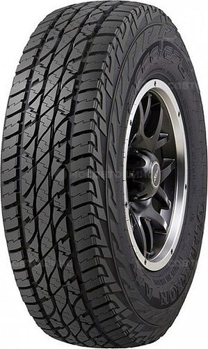 Accelera Omikron A/T