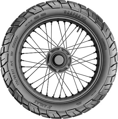 Anlas Capra-XR 190/55 B17 75W (Задняя)
