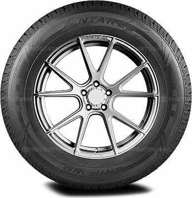 Antares Grip Winter Plus 215/50 R17 95H