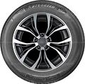 Autogreen SmartChaser SC1 195/55 R16 91V XL