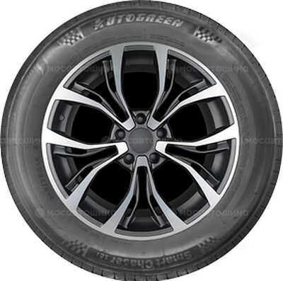Autogreen SmartChaser SC1 195/55 R16 91V XL