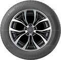 Autogreen Tourchaser TC1 185/70 R13 86T