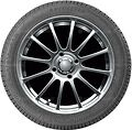 Autogreen Winter-Max A1-WL5 255/40 R19 100V XL