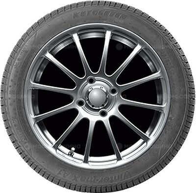 Autogreen Winter-Max A1-WL5 255/40 R19 100V XL