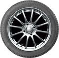 Autogreen Winter-Max U1-WL2 185/60 R14 86T XL