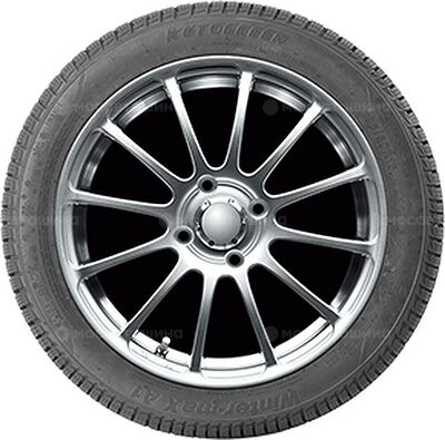 Autogreen Winter-Max U1-WL2 185/60 R14 86T XL