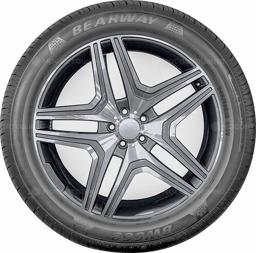 Bearway BW668