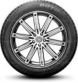 Boto BV11+ 275/45 R21 110V XL