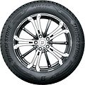 Bridgestone Blizzak DM V3 255/50 R20 109T XL