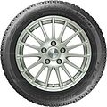 Bridgestone Blizzak Spike-01 255/50 R19 101T