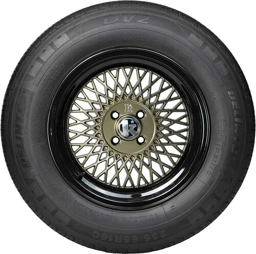 Delinte DV2+