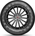 Doublestar DS01 235/60 R18 107H