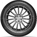 Doublestar DW01 245/75 R16C 120/116Q