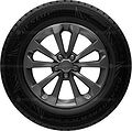 Dunlop GrandTrek Ice 02 245/55 R19