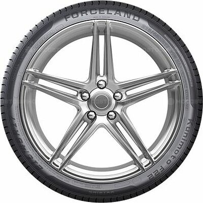 ForceLand Vitality F22 205/65 R16 95H