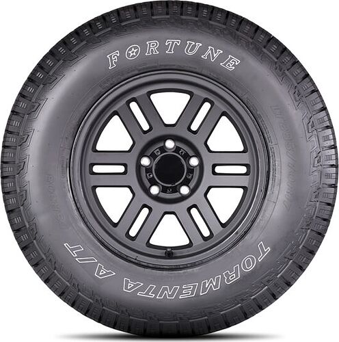 Fortune FSR-308