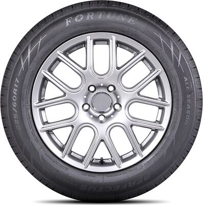 Fortune FSR-602 195/65 R15 91H