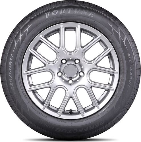 Fortune FSR-602