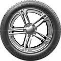 Greentrac Season Master 295/35 ZR21 107W XL