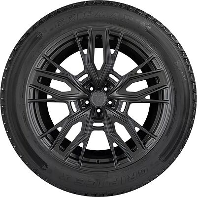 Gripmax Grip Ice X 315/45 R21 116H