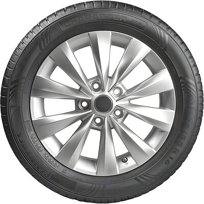 Ikon Character Eco 195/55 R15 89H XL