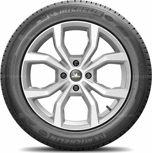 Michelin Energy XM2+