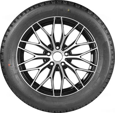 Nankang Ice1 225/65 R17 106Q XL