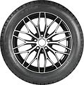 Nankang SW8 225/65 R17 106T XL