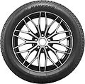 Nankang SW9 225/60 R16 102T XL