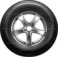 Nexen Roadian HTX RH5 225/60 R18 100H (BSW)