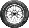 Roadstone Eurovis HP02 195/55 R15 85V