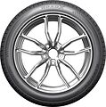 RoadX RXMotion DU71 EV 255/45 R20 105Y XL