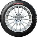Rydanz Revimax R33 265/35 ZR18 97W XL