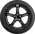 Taurus SUV Ice 215/60 R17 100T XL