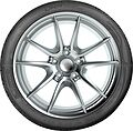 Taurus Ultra High Performance 225/50 R17 98Y XL