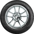 Taurus Winter 205/45 R17 88V XL